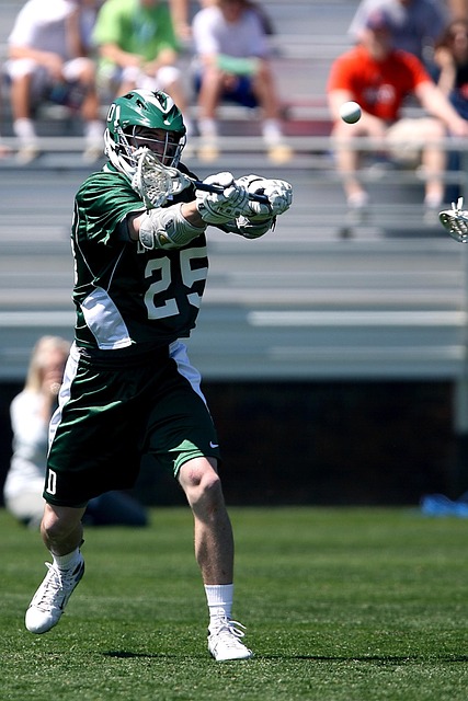 斯坦丘与米 斯坦丘与米