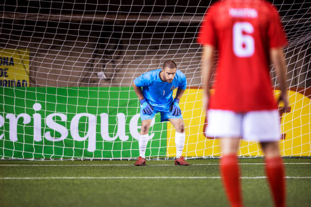 可以看出这 可以看出这